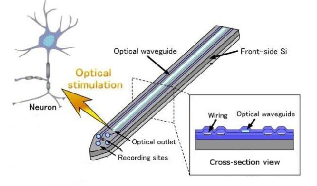 nn800 overview.jpg