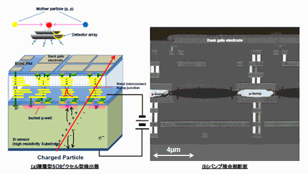 Fig.1.gif