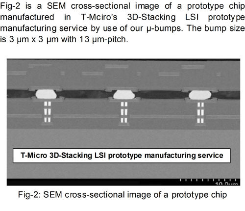 MicroBumpV1.0-2.jpg