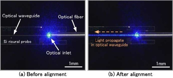 nn800 alignment.jpg