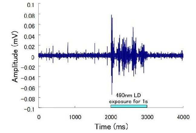 nn800 signal record.jpg